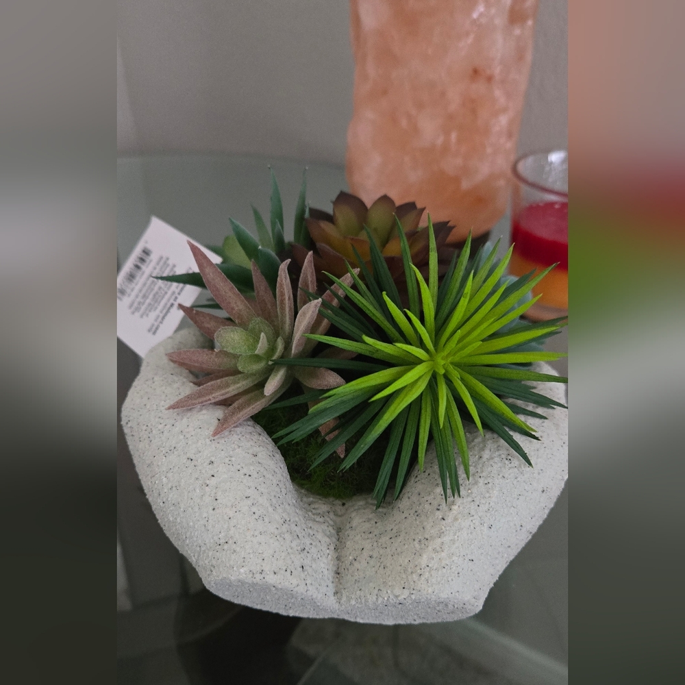 Succulents  decorations artificial - Picture 3 of 3